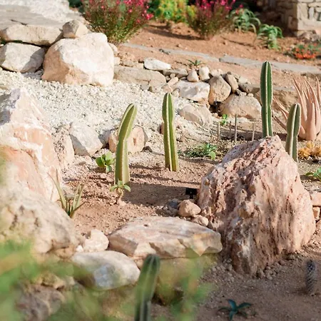 Noble 7 - Adults Only - Onar Collection 4*